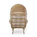 Christopher Knight Home Didier Farmhouse Iron and Faux Rattan Patio Standing with Basket Design