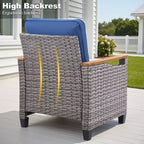 GDFStudio Halcyon Outdoor Wicker and Steel Club Chair with Cushions (Set of 2)