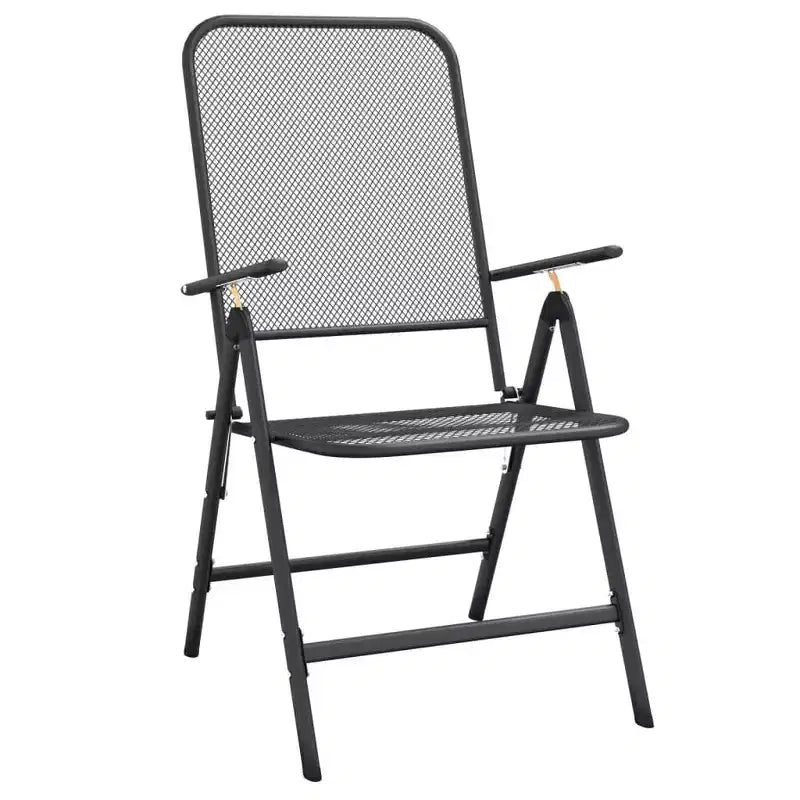 vidaXL Folding Garden Chair Set of 2