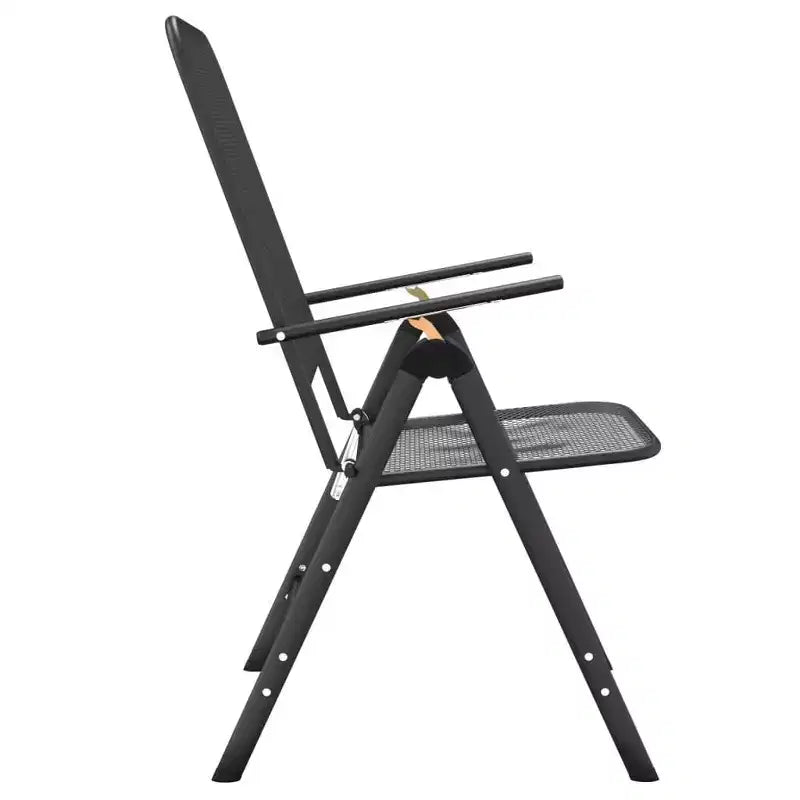 vidaXL Folding Garden Chair Set of 2