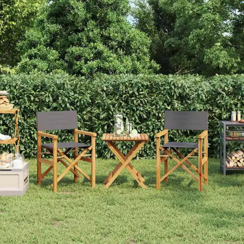 vidaXL Director's Chair Set of 2 Grey Teak wood and polyester Medium