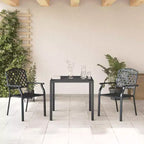 vidaXL Set 2 Sedie da Esterno Antracite in Acciaio E-Coated e Verniciato a Polvere