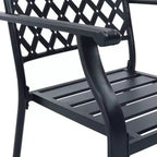 vidaXL Set 2 Sedie da Esterno Antracite in Acciaio E-Coated e Verniciato a Polvere