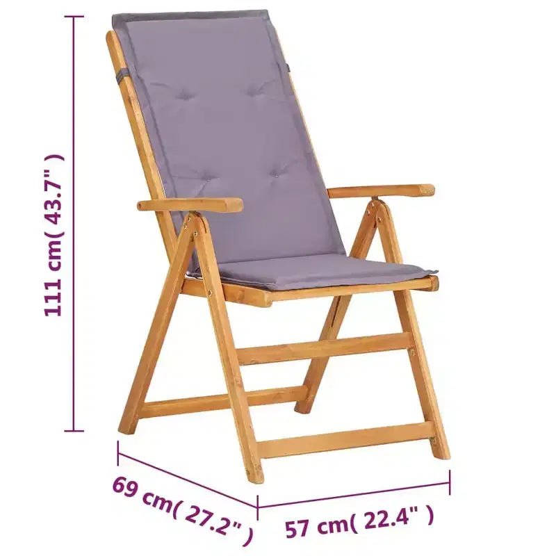 vidaXL Garden Chair Set of 2 Dark grey