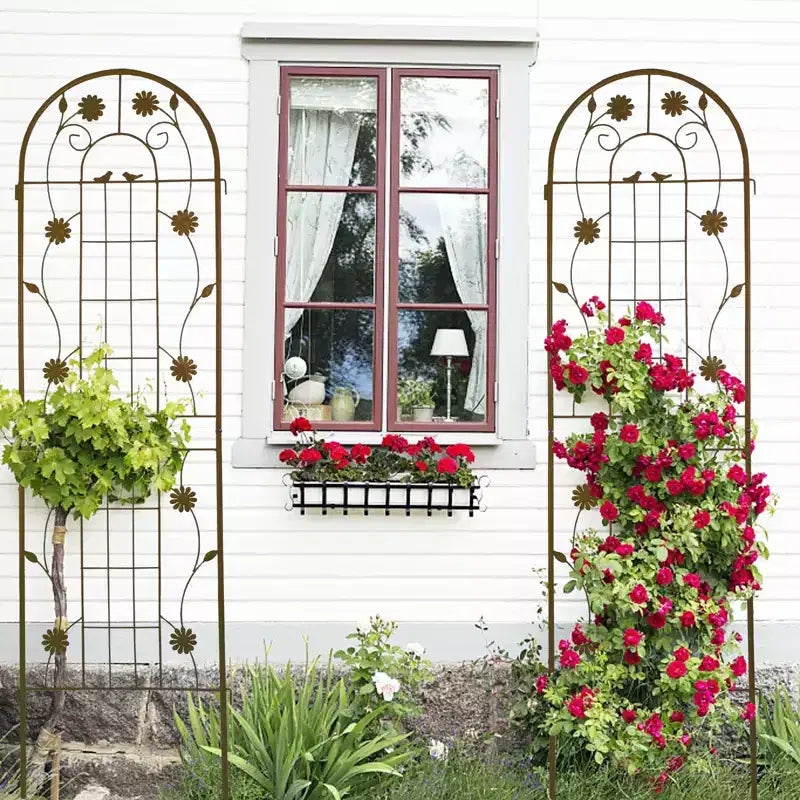 MAYEERTY 2 Pack 71 x 19.7 Black Rustproof Metal Garden Trellis for Climbing Plants