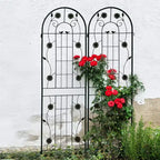 MAYEERTY 2 Pack 71 x 19.7 Black Rustproof Metal Garden Trellis for Climbing Plants