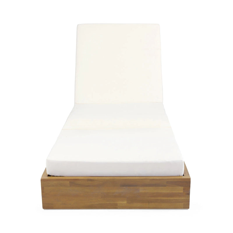 Christopher Knight Home Outdoor Comfort Chaise Lounge Set of 2
