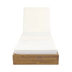 Christopher Knight Home Outdoor Comfort Chaise Lounge Set of 2
