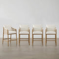 Lynn Counter Height Bar Stool with Braid Wood Arm Set of 2