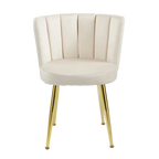 Velvet Dining Chairs with Gold Legs (Set of 2)