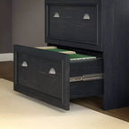 Classificatore a 2 cassetti Fairview Nero Antico - Bush Furniture: Laterale, Design Elegante, Top Marrone Ciliegio