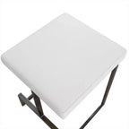 Carolina Living 24 Lumi Counter Height Barstool