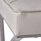 Set of 2 Milania Dining Chair - Christopher Knight Home