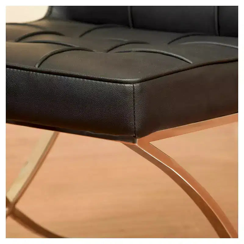 Set of 2 Milania Dining Chair - Christopher Knight Home