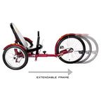 Mobo Triton Pro 20 Cruiser Speciale