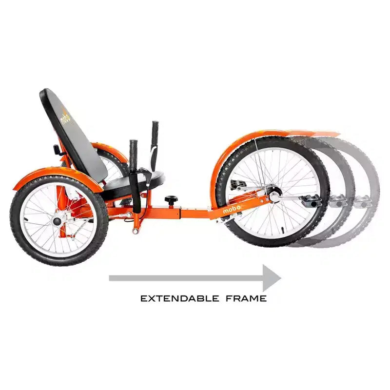 Mobo Triton Pro 20 Cruiser Speciale