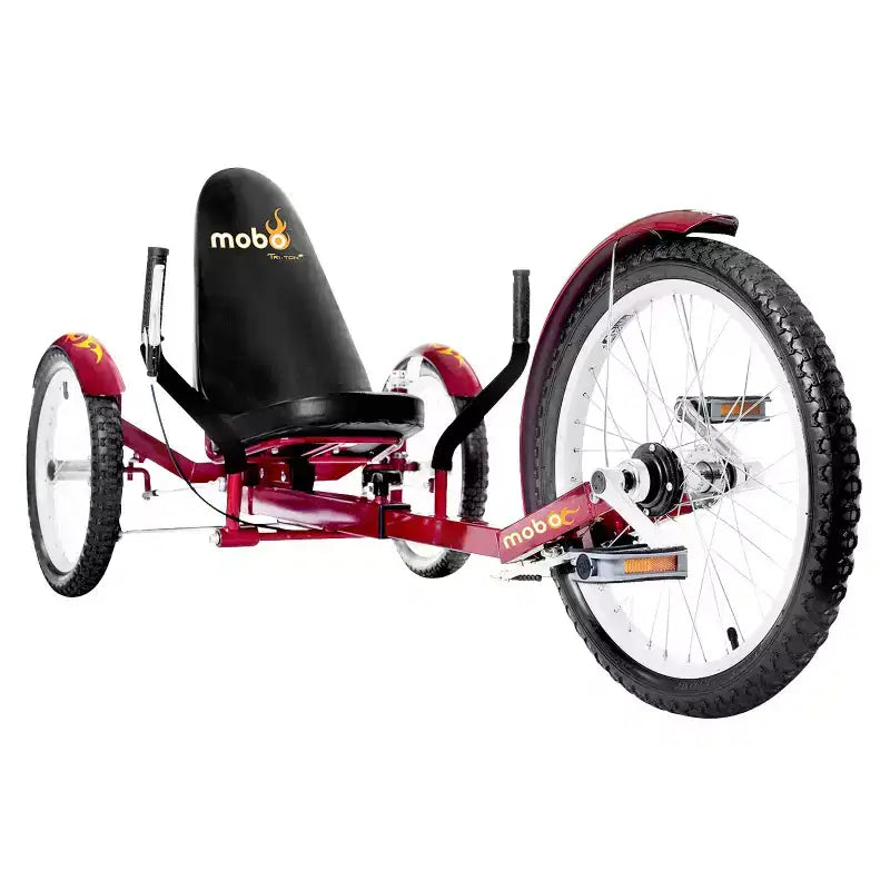 Mobo Triton Pro 20 Cruiser Speciale
