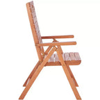 Rence Multi Position Folding Chair Indoor/Outdoor (Set of 2) - PAT7060 - Natural - Safavieh