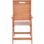 Rence Multi Position Folding Chair Indoor/Outdoor (Set of 2) - PAT7060 - Natural - Safavieh