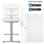 Costway Electric Standing Desk Sit to Stand Height Adjustable Dual Motor