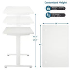 Costway Electric Standing Desk Sit to Stand Height Adjustable Dual Motor