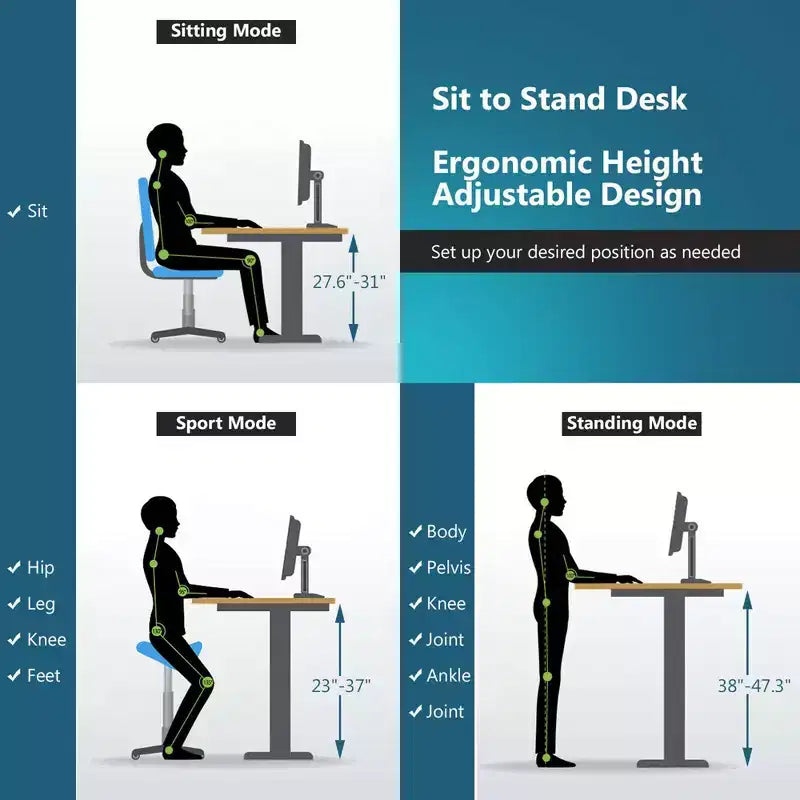 Costway Electric Standing Desk Sit to Stand Height Adjustable Dual Motor