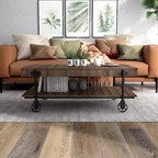 Huntingdale Industrial 1 Shelf Coffee Table - miBasics