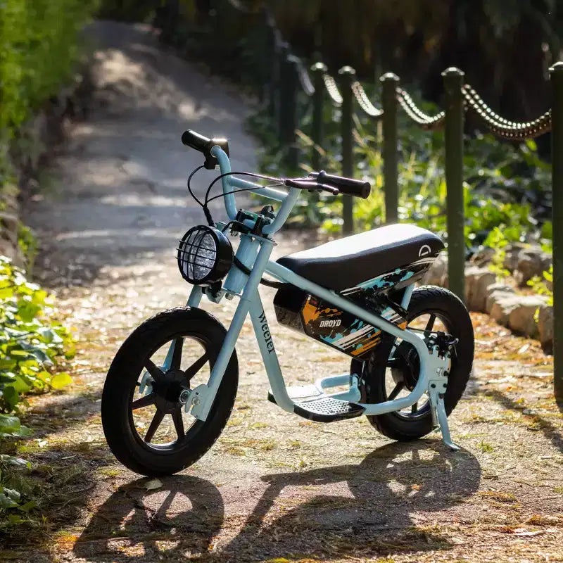 Droyd Kids' Weeler 14 Step Over Mini Electric Bike