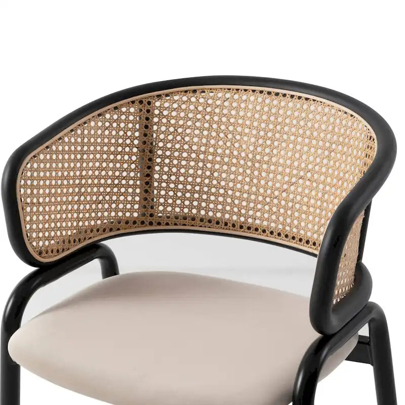 Sedia da pranzo Ervilla moderna con schienale in vimini e seduta imbottita in velluto per sala da pranzo e cucina, set da 4 - 29,9