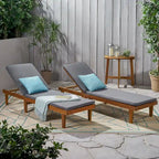 Nadine Outdoor Modern Cushioned Acacia Chaise Lounges (Set of 2) by Christopher Knight Home