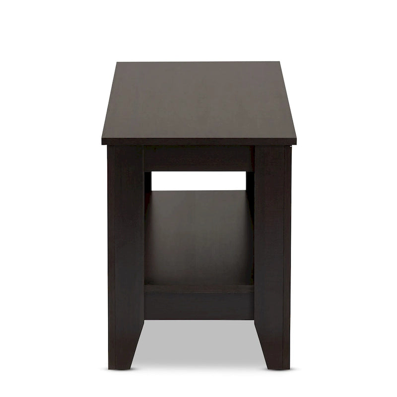 Copper Grove Leerdam Modern Rectangular Wenge-finished Wood Coffee Table