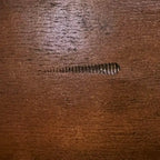 Set da pranzo Roundhill Furniture Karven in legno 9 pezzi, tavolo da pranzo allungabile con piedistallo con 8 sedie, nocciola scuro
