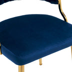 Modern Velvet Dining Chairs Set of 4