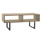 Carbon Loft Morse Industrial Coffee Table