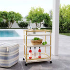 Tobias Outdoor Rattan and Metal 3- Tier Rattan Bar Cart