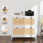 File Cabinet Lateral 2-Drawer Wood Rattan with Lock for Home Office