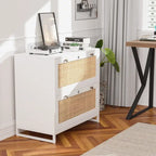 File Cabinet Lateral 2-Drawer Wood Rattan with Lock for Home Office